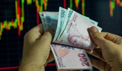 1 milyondan fazla yatırımcı piyasadan çıktı! Halka arz çılgınlığı bitti mi?