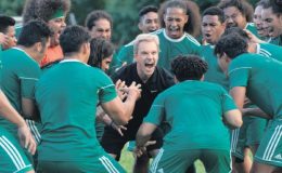 Tek bir gol için