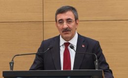 Cevdet Yılmaz: Aşamalı bir şekilde enflasyonu aşağı çekiyoruz