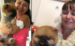 ‘Paylaşılamayan köpek’ davasında emsal karar: Manevi tazminat ödeyebilir