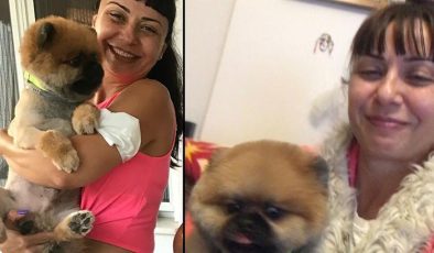 ‘Paylaşılamayan köpek’ davasında emsal karar: Manevi tazminat ödeyebilir