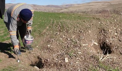 Uyandılar ve teker teker çıktılar: Böyle bir olay görmedik